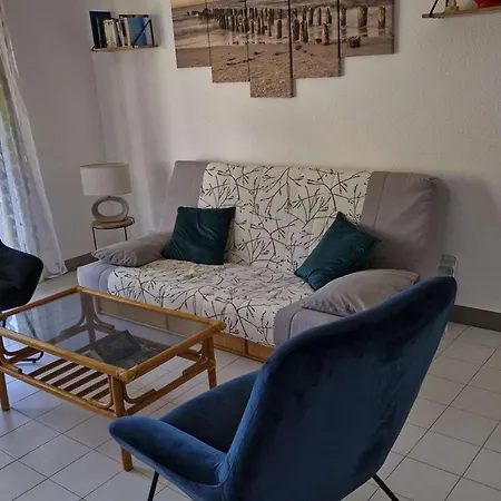 Climatise Avec Terrasse Et Piscine Au Lavandou - Fr-1-308-168